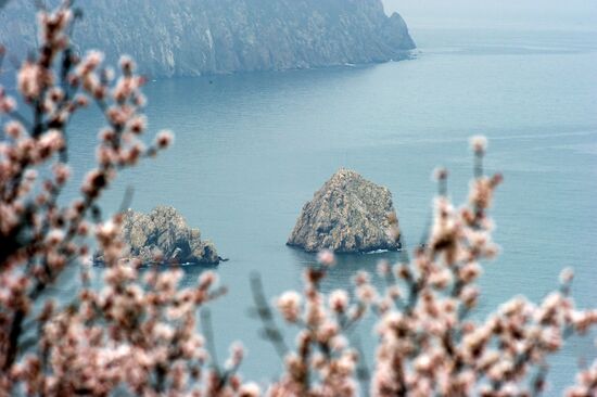 Регионы России. Крым