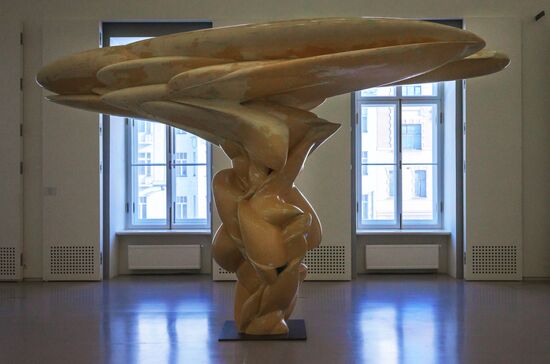 Выставка "Тони Крэгг. Скульптура и рисунки" в Эрмитаже
