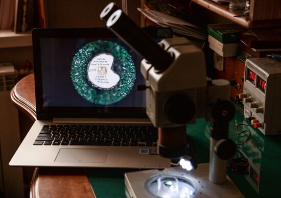 Новосибирский художник создал на зернышке мака микроскопические книги