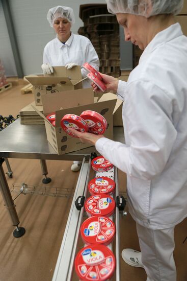 Запуск новой линии по производству плавленого сыра компании Valio