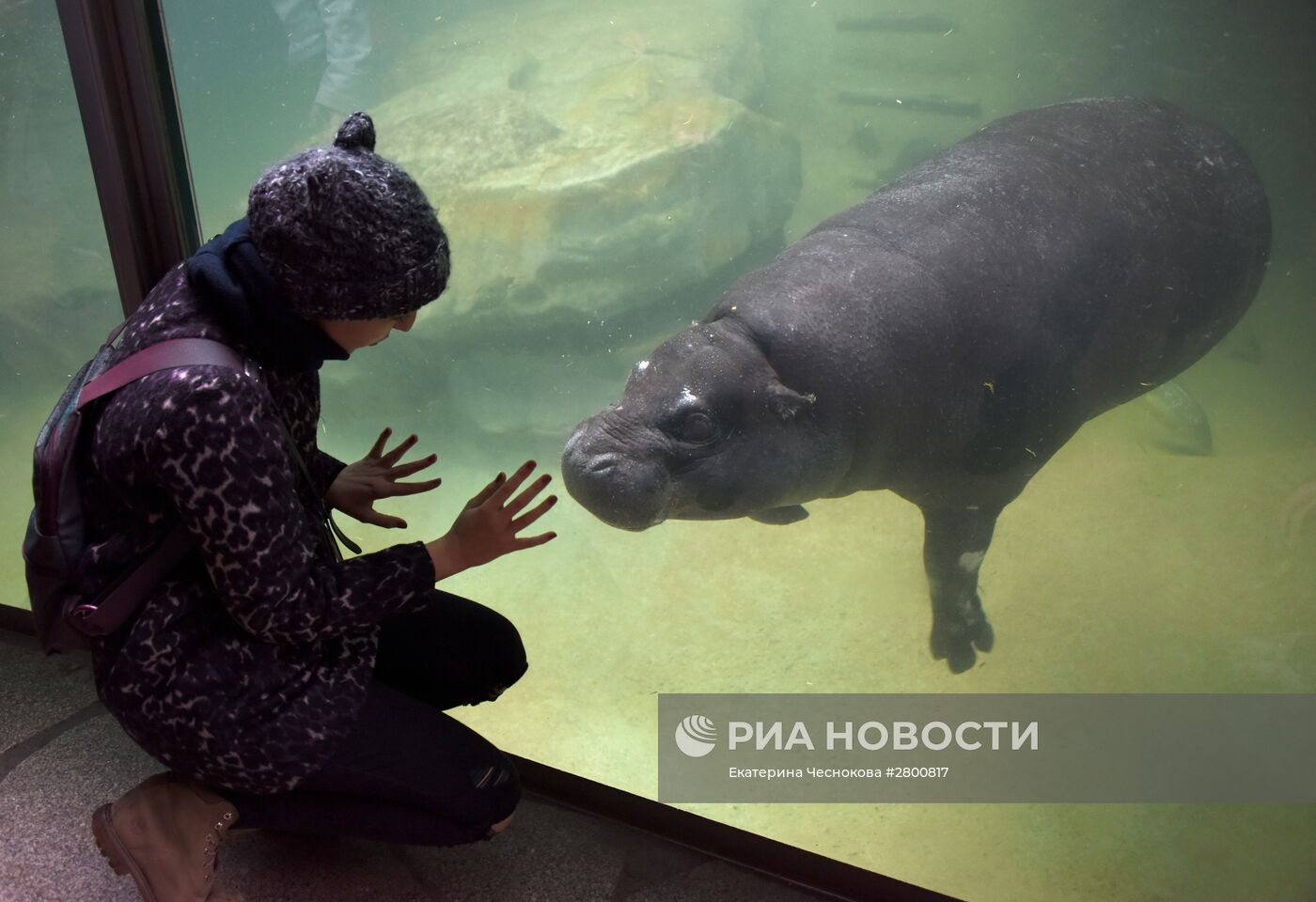 Города мира. Берлинский зоопарк