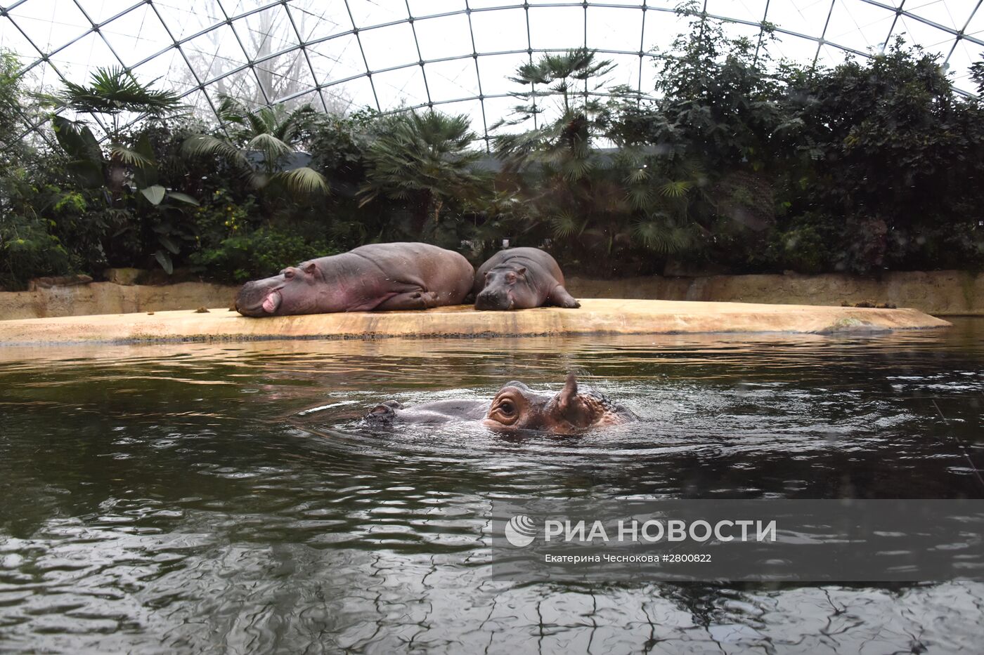 Города мира. Берлинский зоопарк