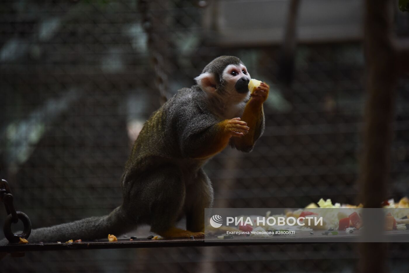 Города мира. Берлинский зоопарк