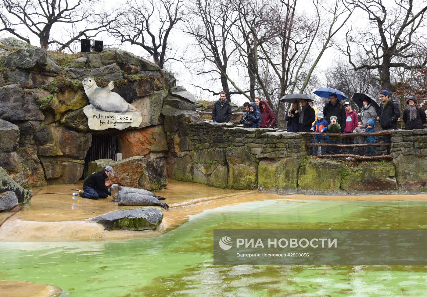 Города мира. Берлинский зоопарк