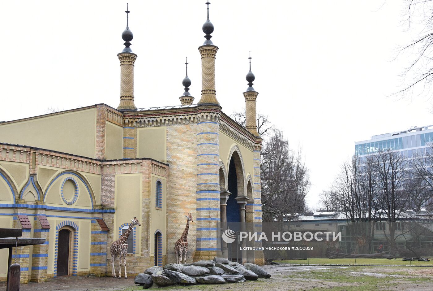 Города мира. Берлинский зоопарк