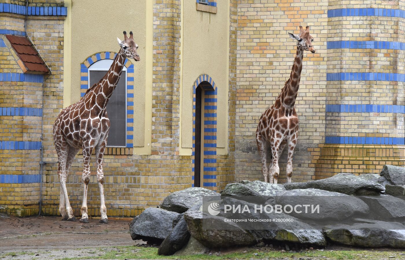 Города мира. Берлинский зоопарк