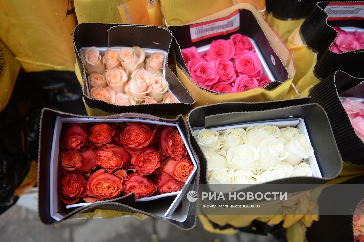 Продажа цветов к 8 марта в Москве