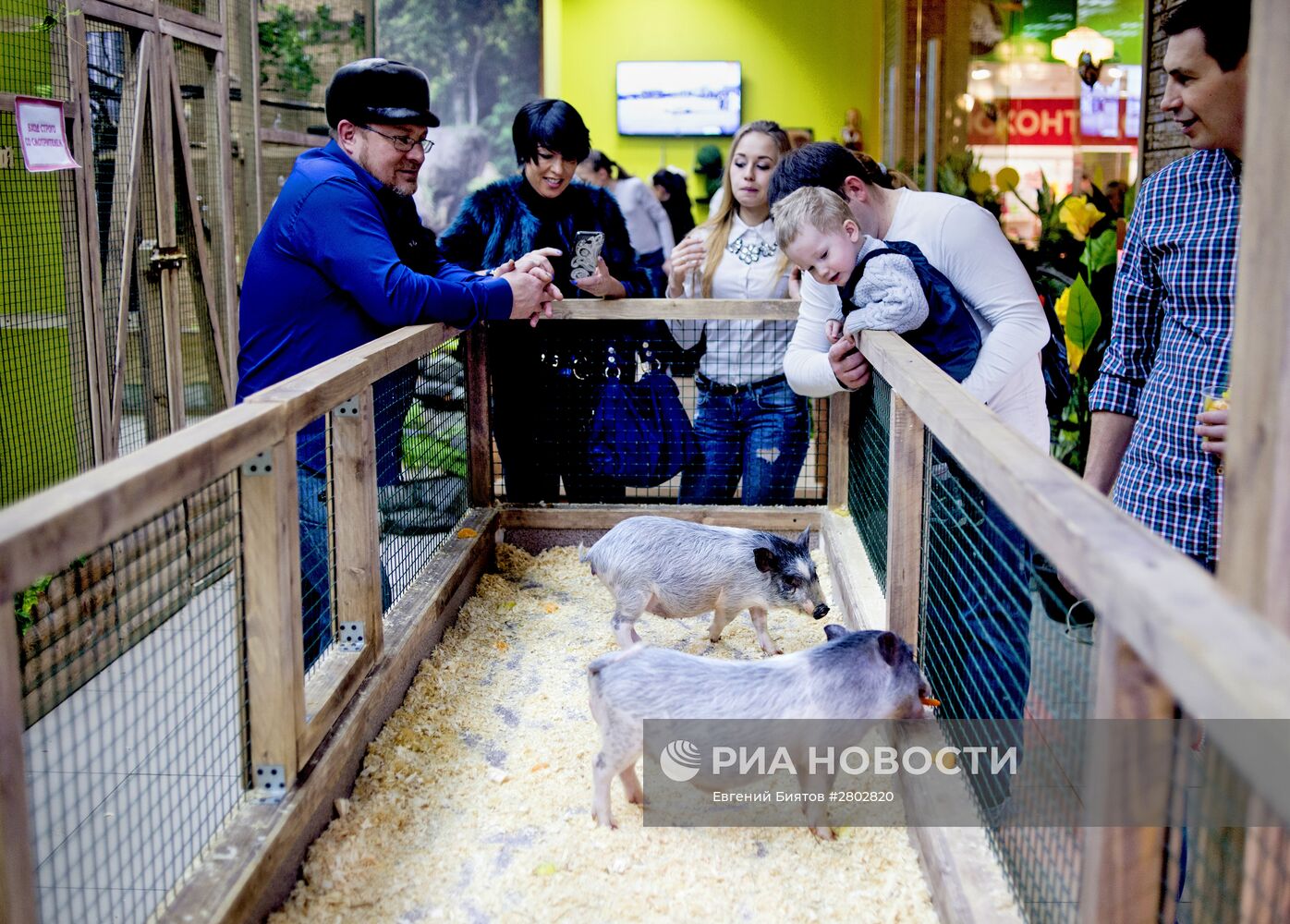 Самый большой контактный зоопарк "Зверюшки" открылся в Москве