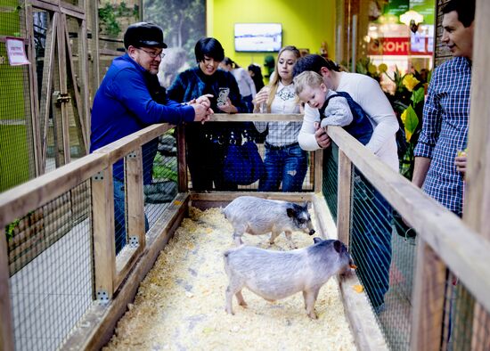 Самый большой контактный зоопарк "Зверюшки" открылся в Москве