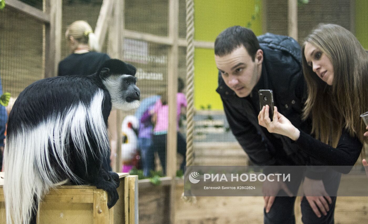 Самый большой контактный зоопарк "Зверюшки" открылся в Москве