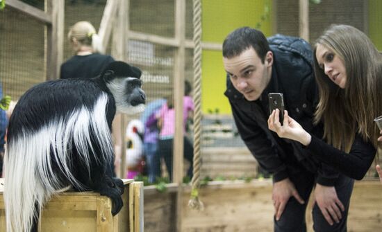 Самый большой контактный зоопарк "Зверюшки" открылся в Москве