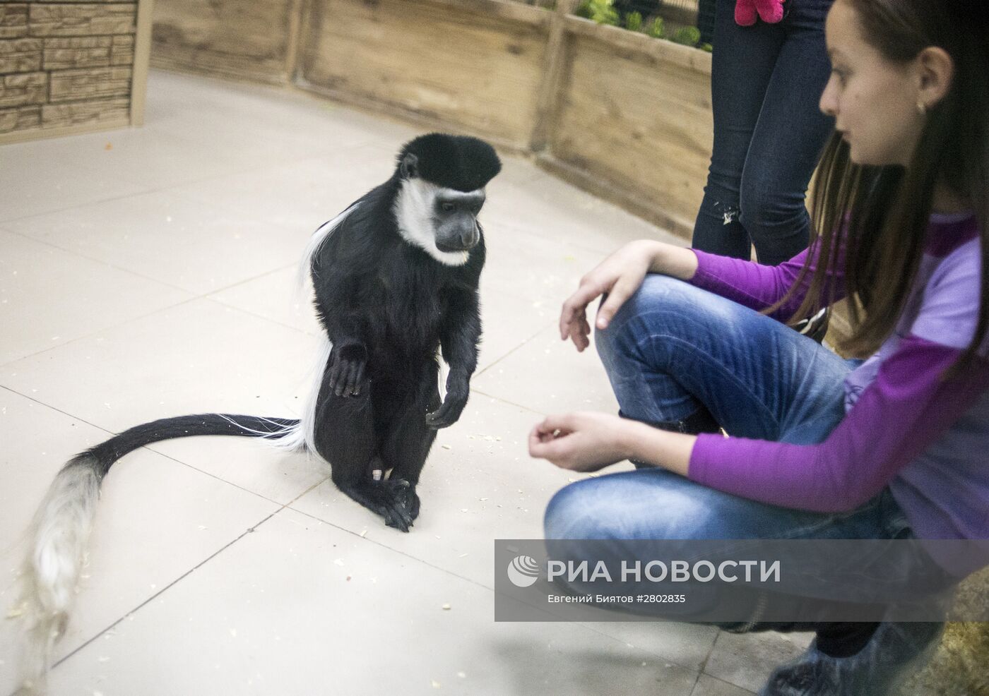 Самый большой контактный зоопарк "Зверюшки" открылся в Москве