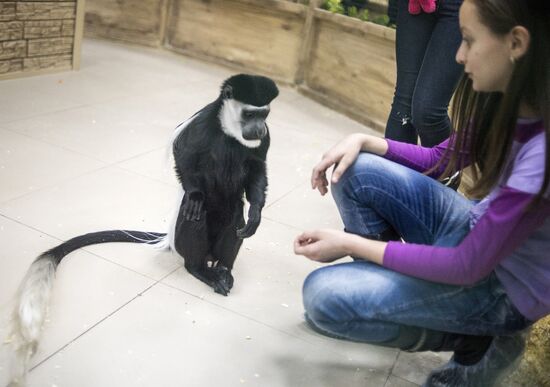 Самый большой контактный зоопарк "Зверюшки" открылся в Москве