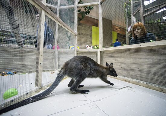 Самый большой контактный зоопарк "Зверюшки" открылся в Москве