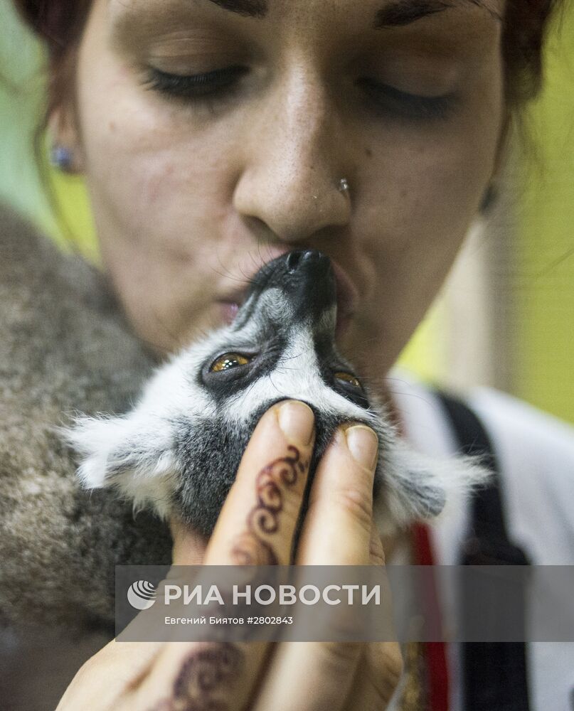 Самый большой контактный зоопарк "Зверюшки" открылся в Москве