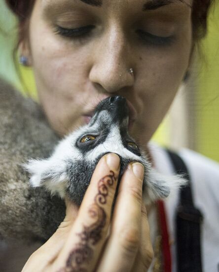 Самый большой контактный зоопарк "Зверюшки" открылся в Москве