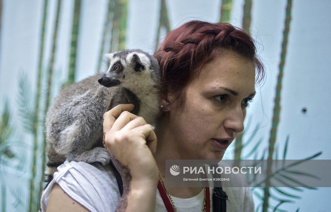 Самый большой контактный зоопарк "Зверюшки" открылся в Москве