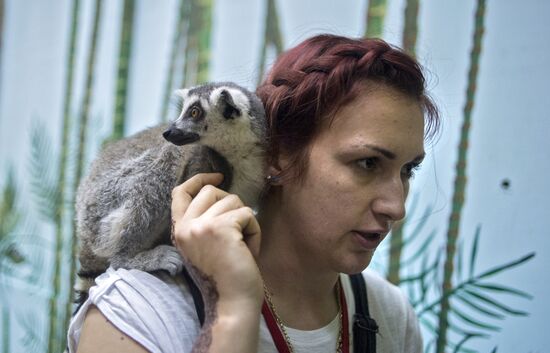 Самый большой контактный зоопарк "Зверюшки" открылся в Москве