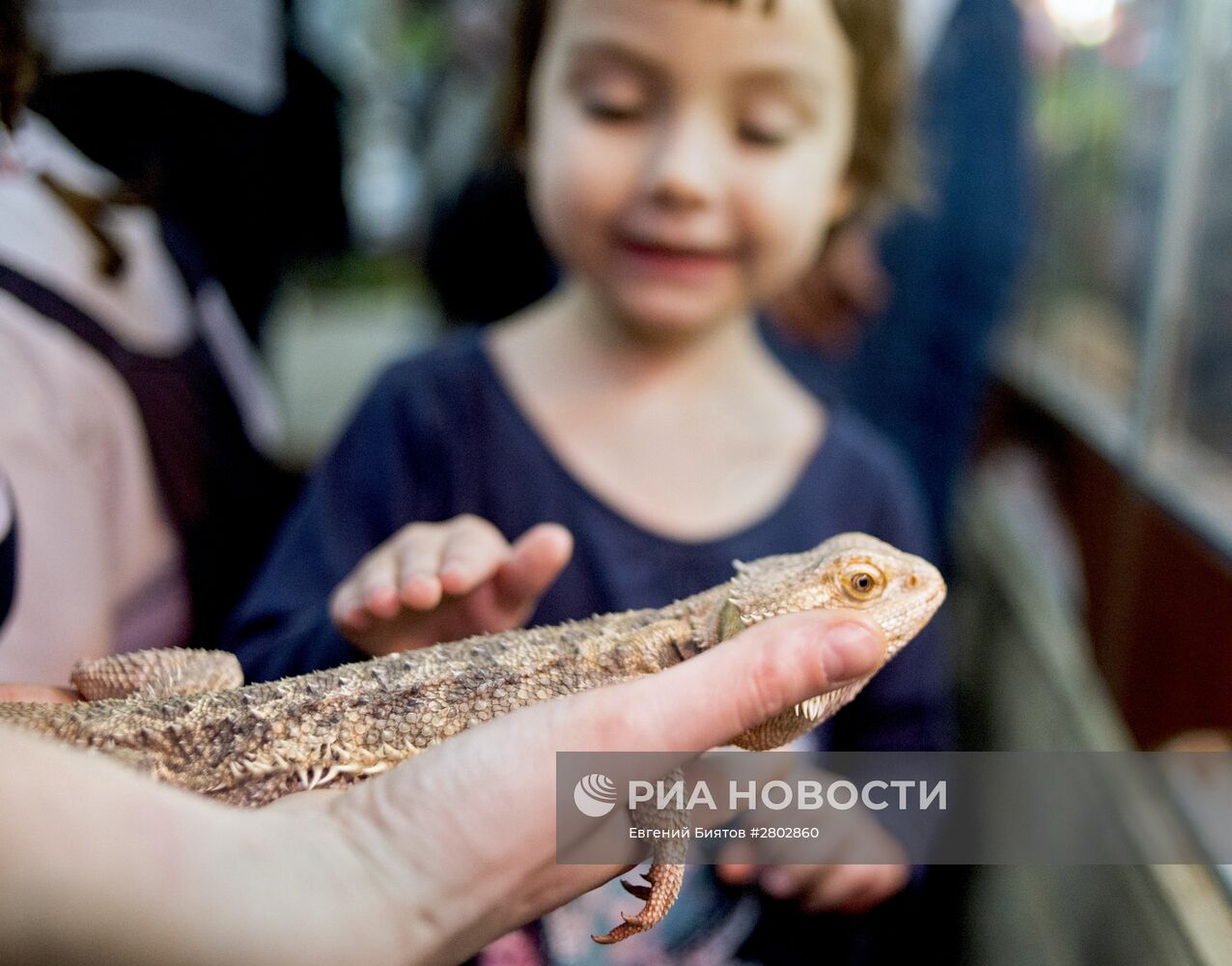 Самый большой контактный зоопарк "Зверюшки" открылся в Москве
