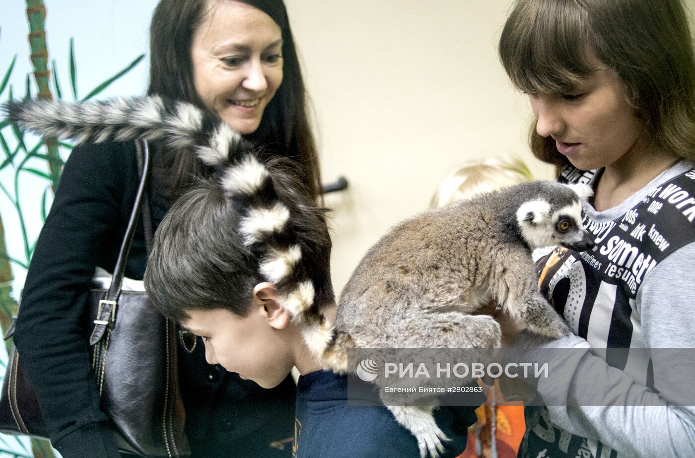 Самый большой контактный зоопарк "Зверюшки" открылся в Москве