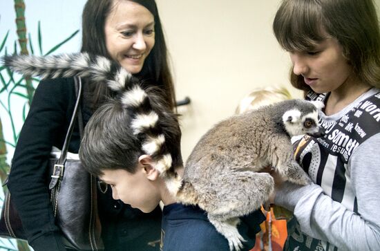 Самый большой контактный зоопарк "Зверюшки" открылся в Москве