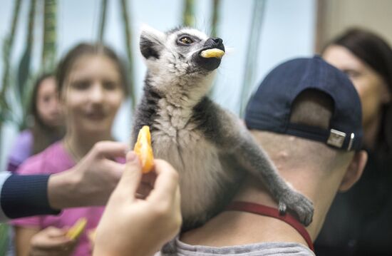 Самый большой контактный зоопарк "Зверюшки" открылся в Москве