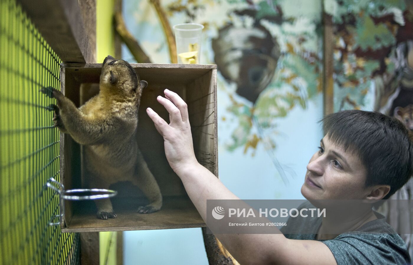 Самый большой контактный зоопарк "Зверюшки" открылся в Москве