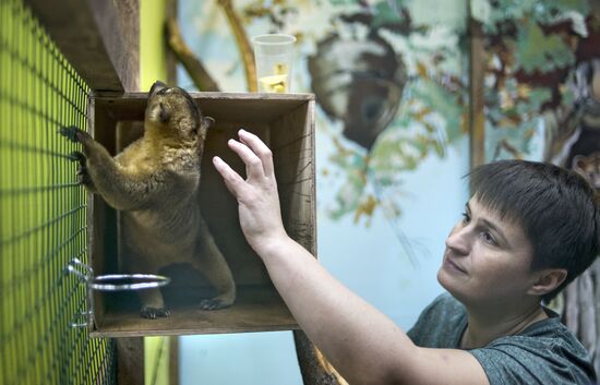 Самый большой контактный зоопарк "Зверюшки" открылся в Москве