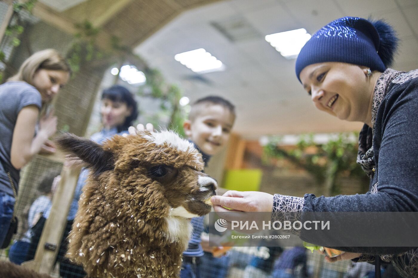 Самый большой контактный зоопарк "Зверюшки" открылся в Москве