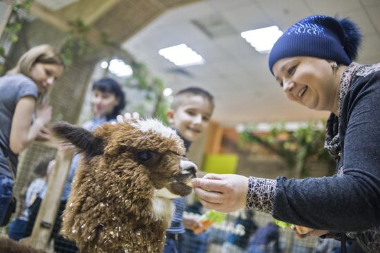 Самый большой контактный зоопарк "Зверюшки" открылся в Москве