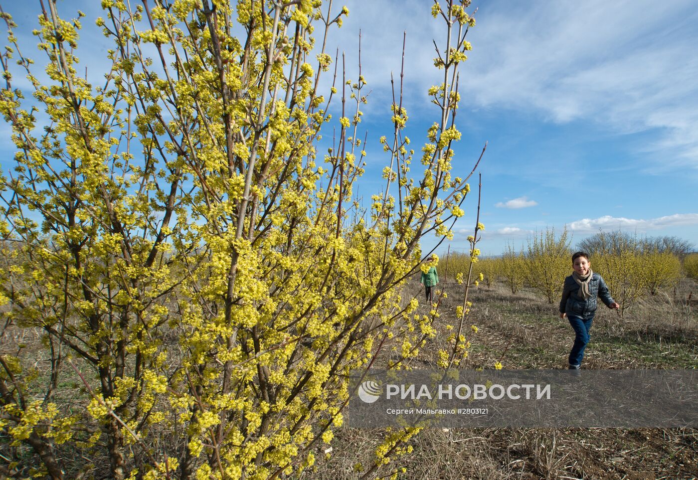 Повседневная жизнь