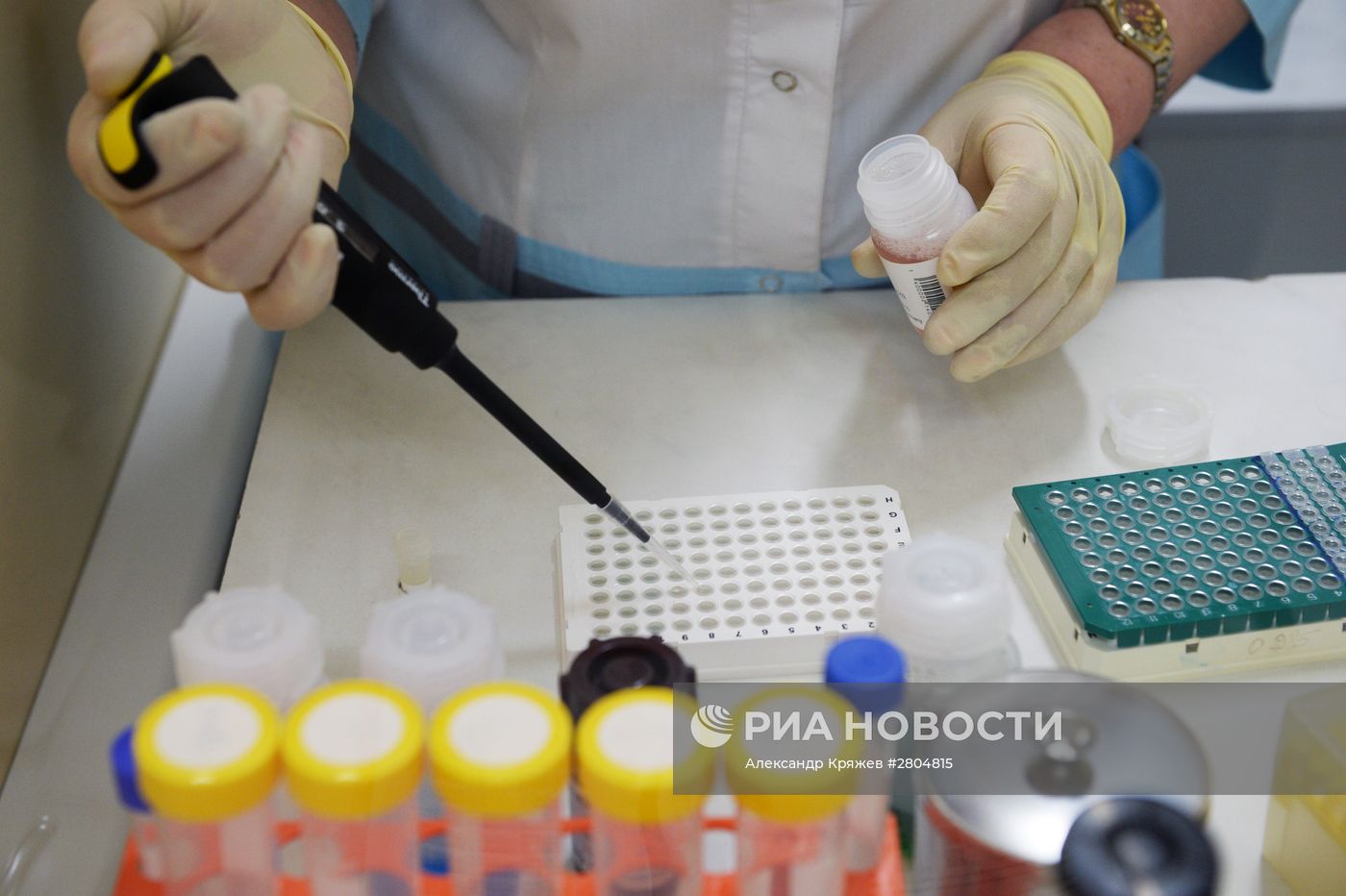 Новосибирский центр крови
