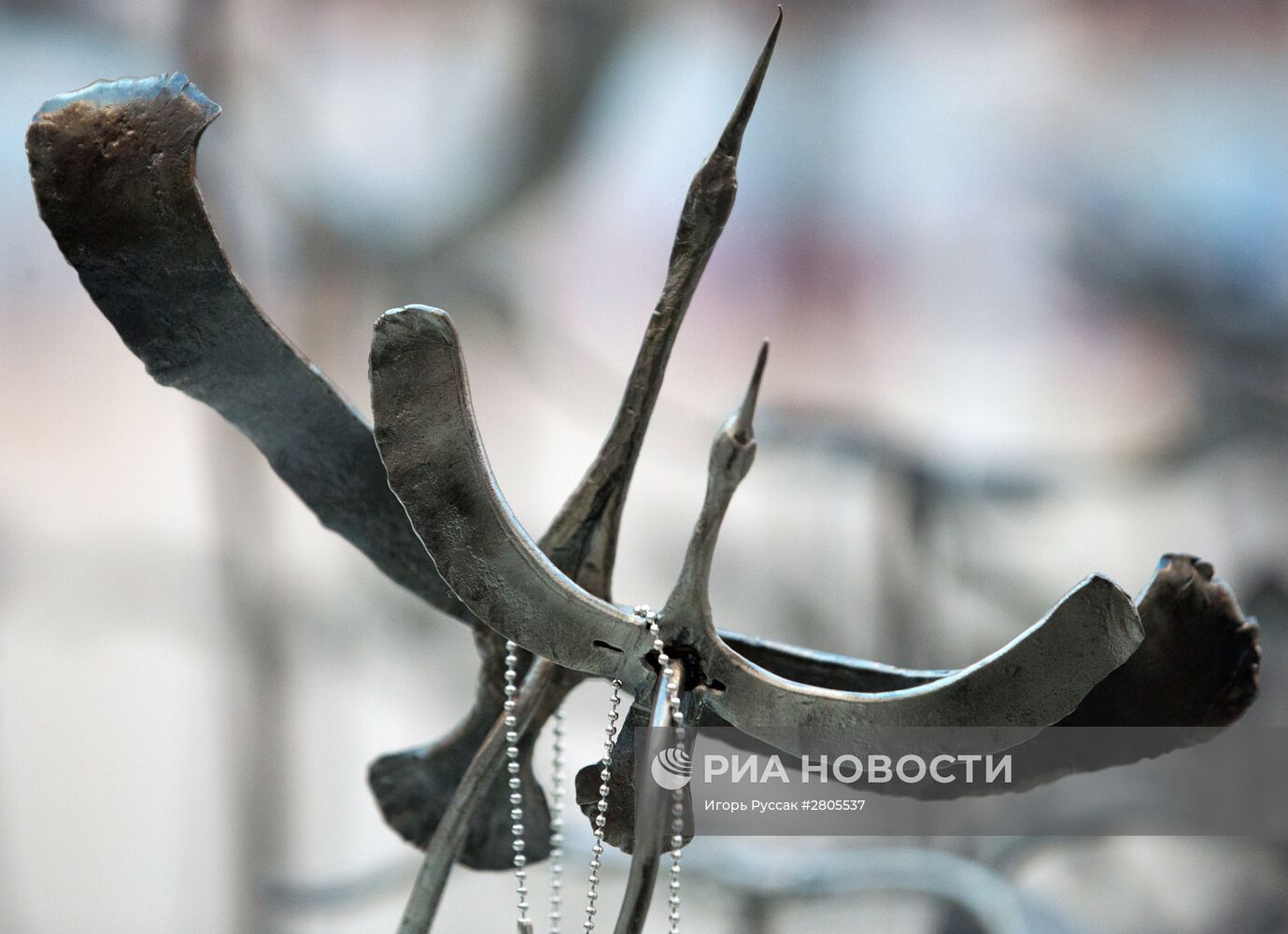 Акция памяти жертв авиакатастрофы над Синаем в Петропавловской крепости