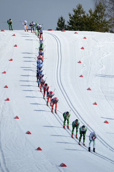 Лыжные гонки. Деминский марафон