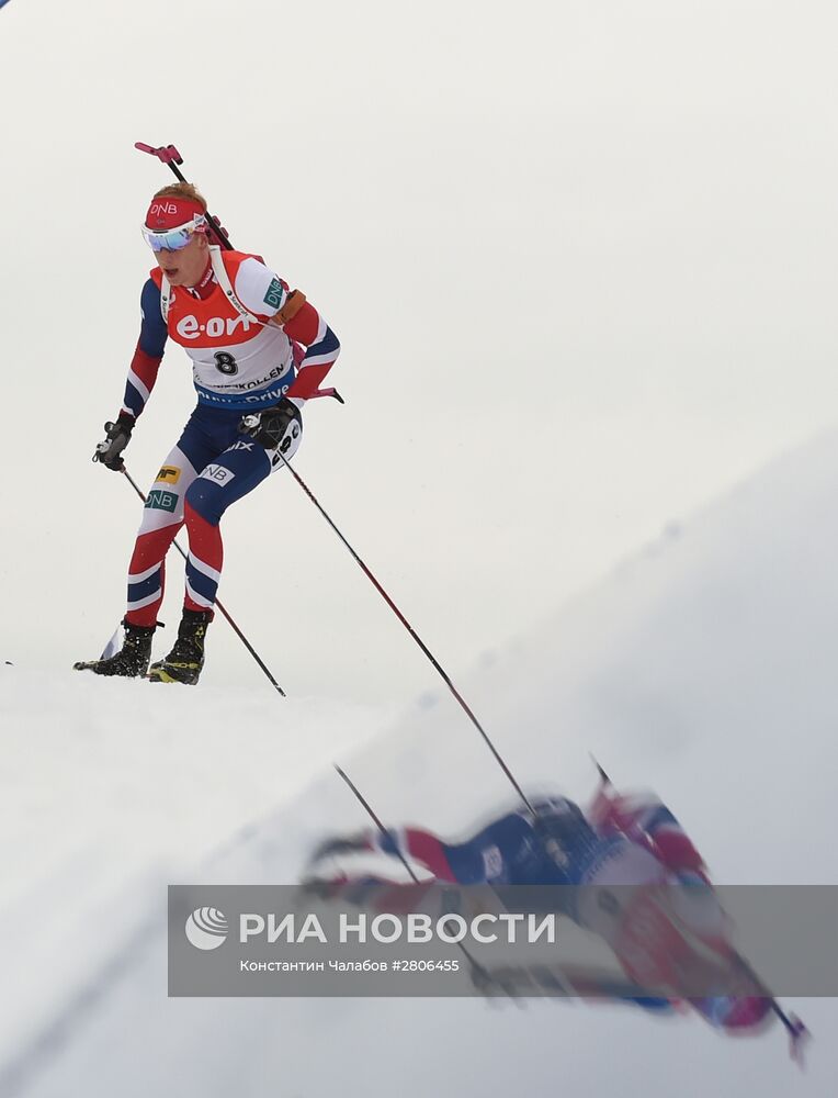 Биатлон. Чемпионат мира. Мужчины. Масс-старт
