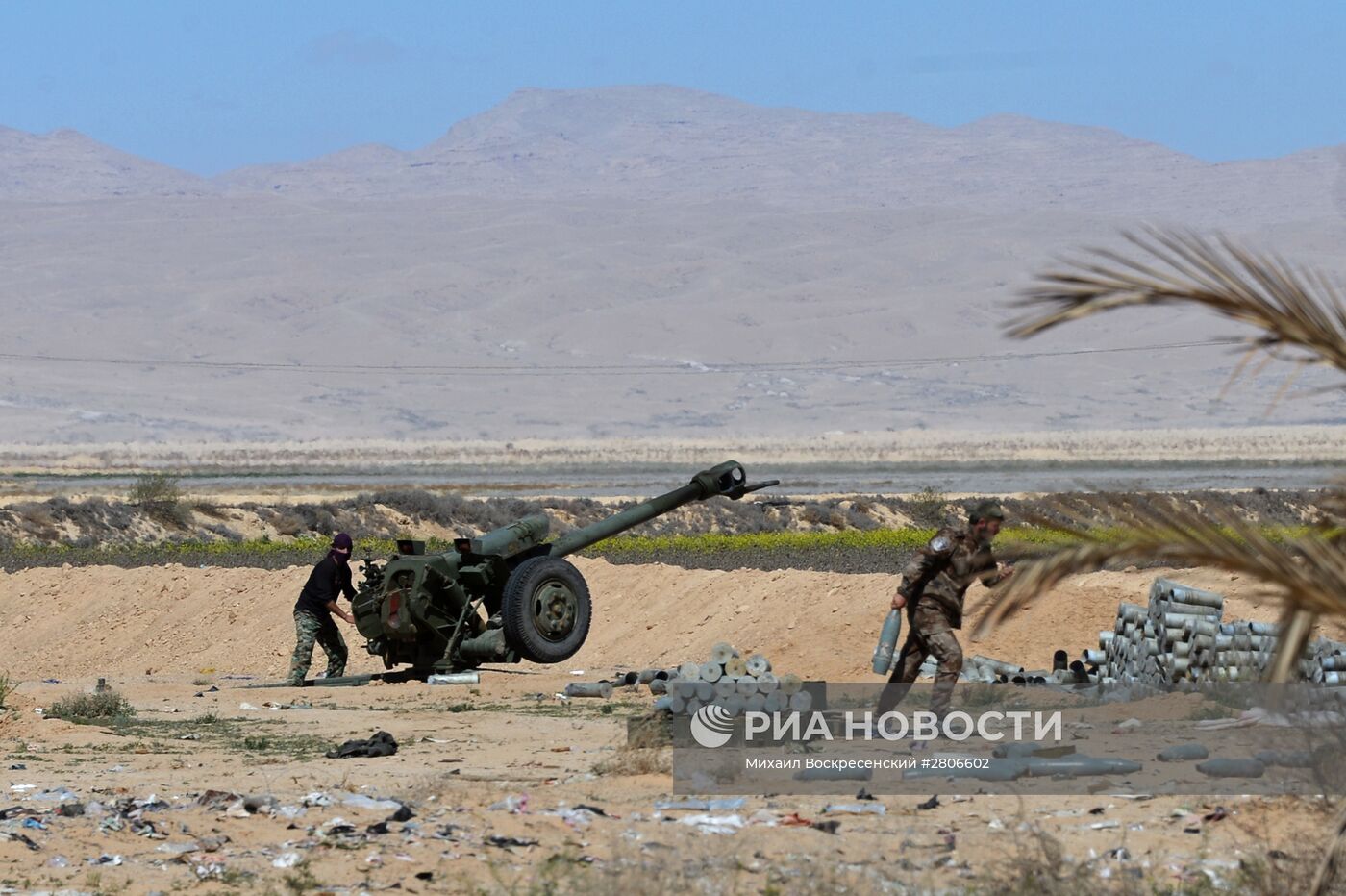 Боевые действия сирийской армии в окрестностях Пальмиры