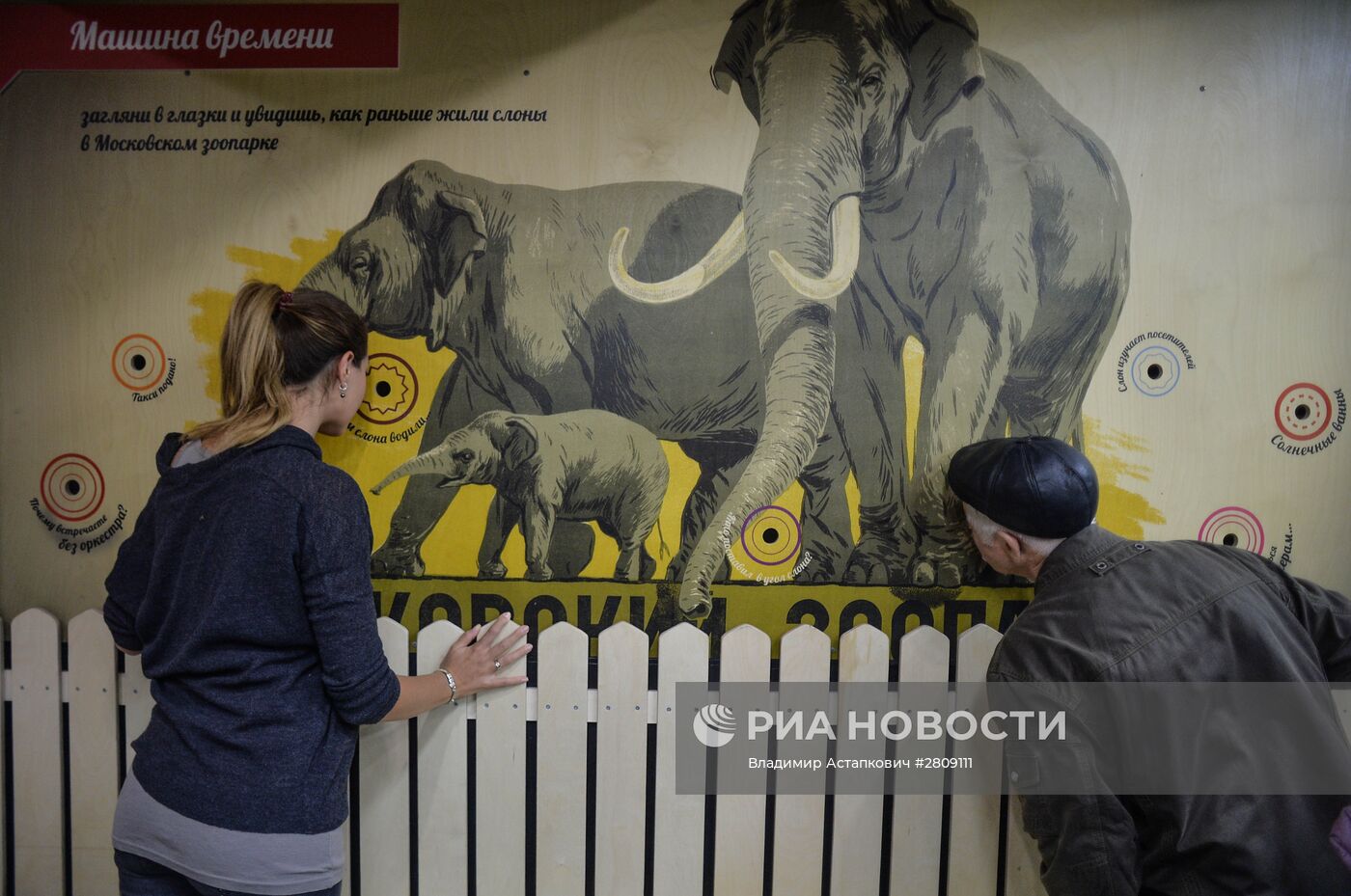 Музей слонов открыли в Московском зоопарке