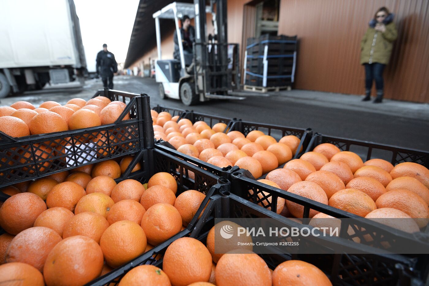 Продажа продуктов из Сирии в Москве