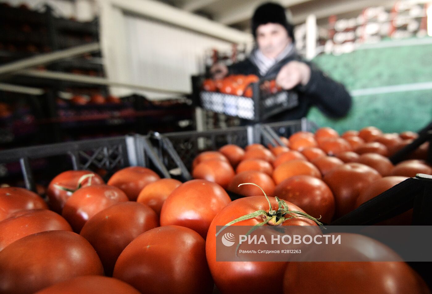 Продажа продуктов из Сирии в Москве
