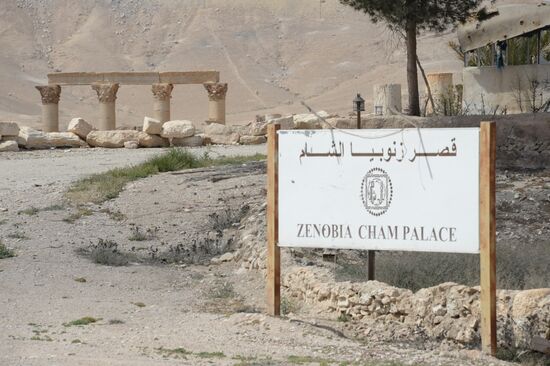 Разрушенная историческая часть Пальмиры
