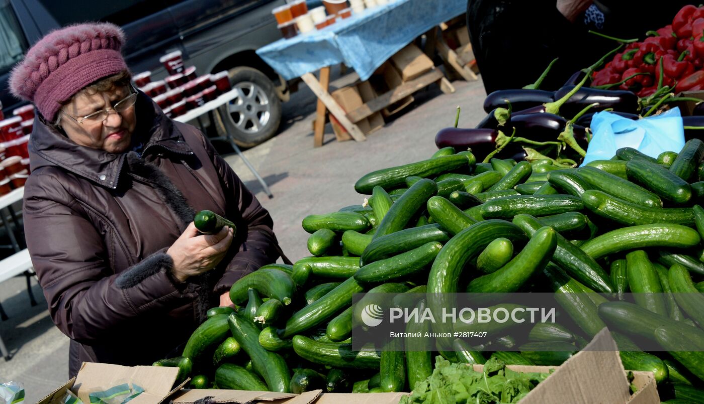 Продовольственная ярмарка на центральной площади Владивостока