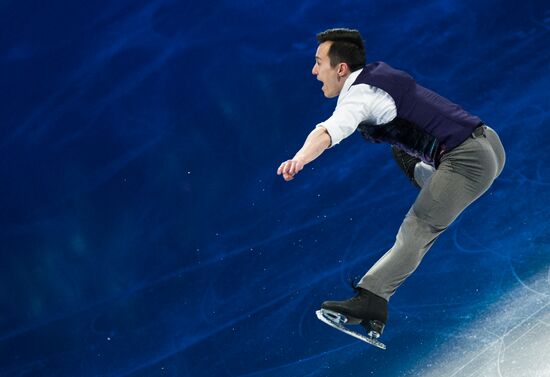 Фигурное катание. Чемпионат мира. Показательные выступления