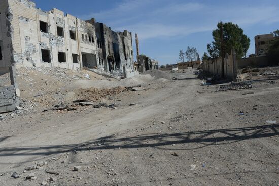 Сирийская армия полностью освободила от боевиков город Эль-Карьятейн