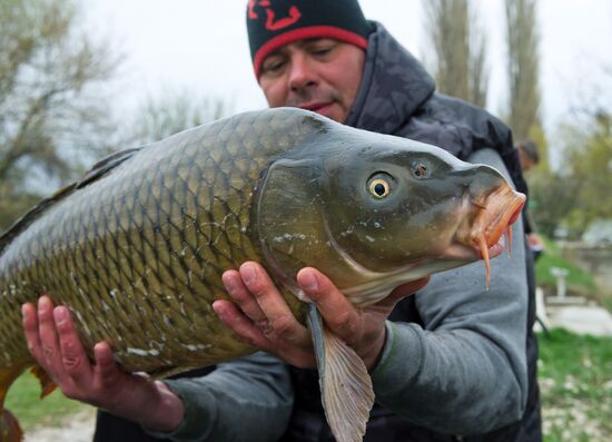 Чемпионат Крыма по ловле карпа