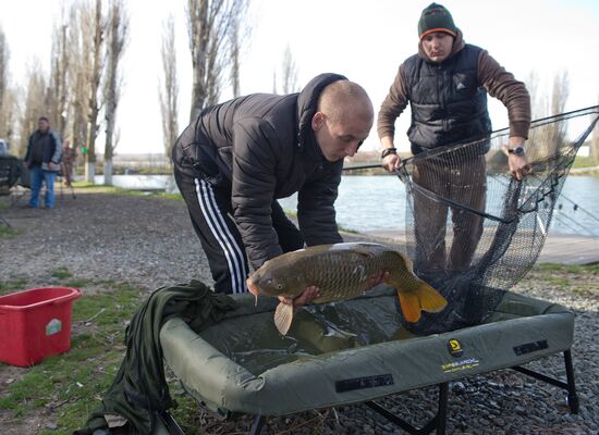 Чемпионат Крыма по ловле карпа