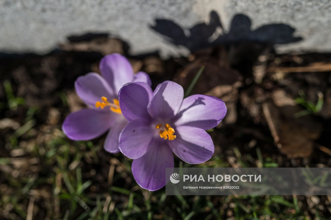 Повседневная жизнь