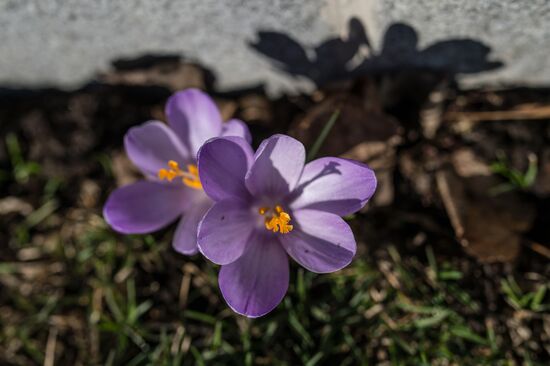 Повседневная жизнь