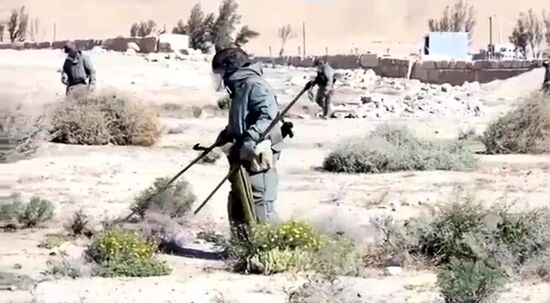 Российские саперы разминируют историческую часть Пальмиры