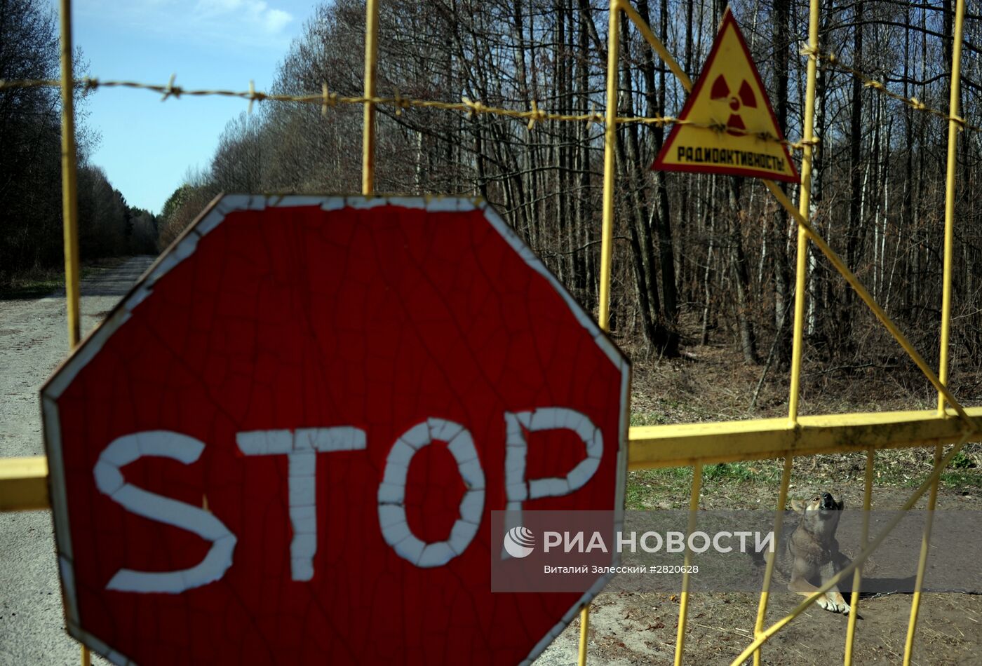 Полесский радиационно-экологический заповедник в Белоруссии