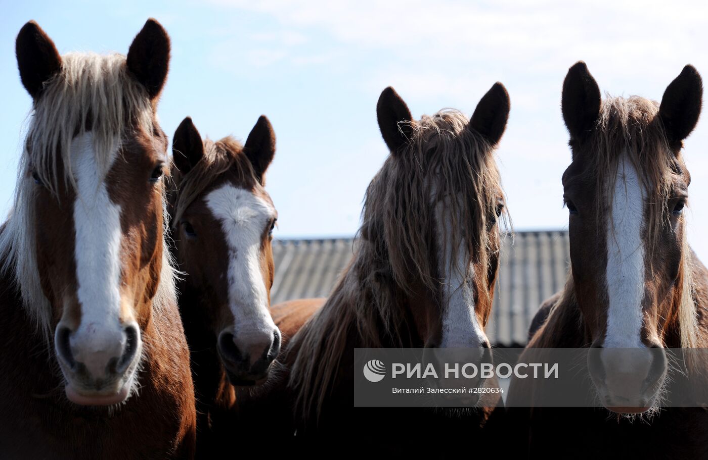 Полесский радиационно-экологический заповедник в Белоруссии